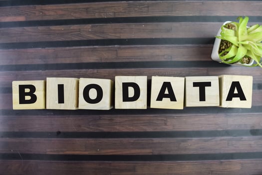 Concept of The wooden Cubes with the word Biodata on wooden background. photo