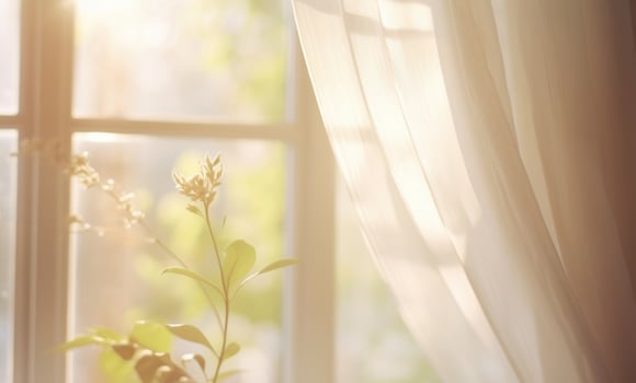 Home Atmosphere With Sunlit Window And Plant. Sunlight Filtering Through Curtains On Houseplant In Cozy Room. photo