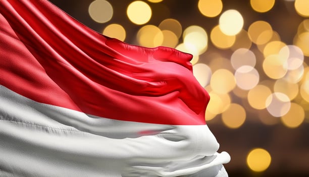 Indonesia Flag Memorial Day Background photo