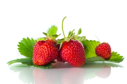 red ripe strawberry spring on a white background photo