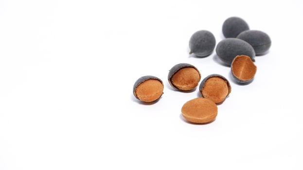 Kranji Tamarind Fruit, Dialium indum, the tamarind-plum, is a tall, tropical, fruit-bearing tree. It belongs to the family Fabaceae, and has small, typically grape-sized edible fruits. photo