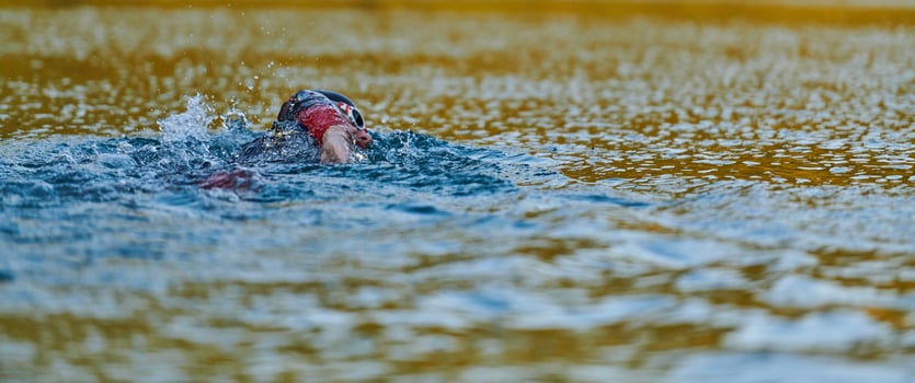 Triathlon athlete swimming on lake in sunrise wearing wetsuit photo