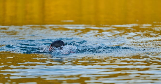 Triathlon athlete swimming on lake in sunrise wearing wetsuit photo