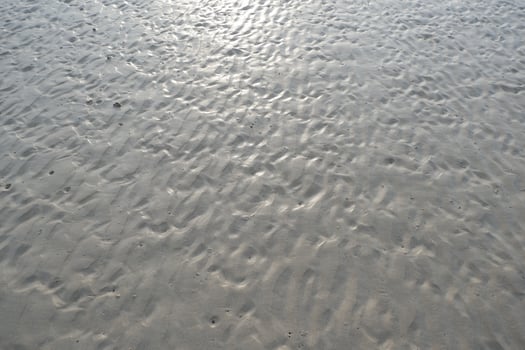 a person flying a kite on a beach photo