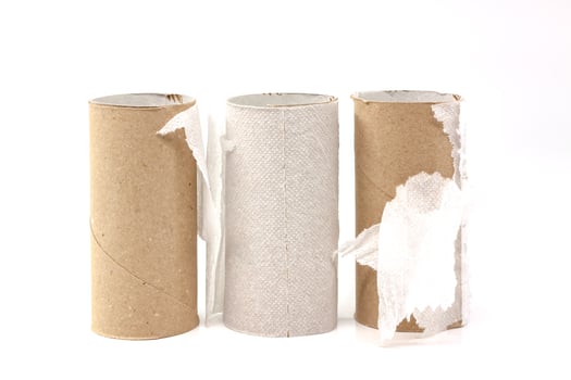 A roll of toilet paper photo