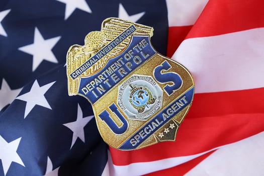 KYIV, UKRAINE - MARCH 9, 2024 US Interpol Special Agent badge on United States of America flag photo