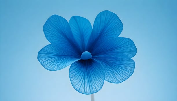 Calm blue background concept A large blue flower with close up clear petals photo