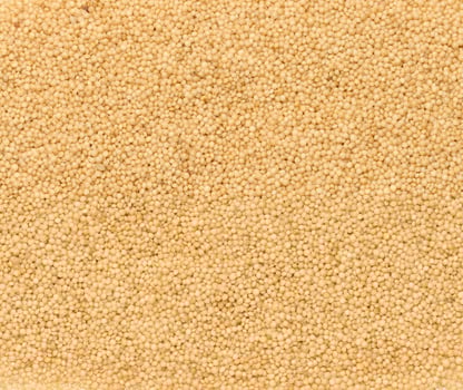 Amaranth seeds scattered, full frame photo