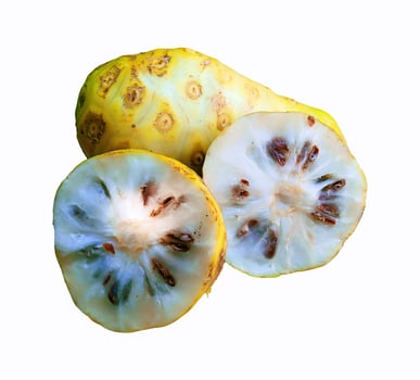 Ripe noni fruit on a white background photo
