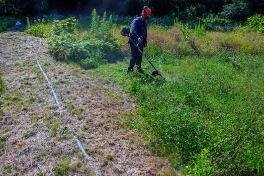 A man cuts and mows the grass. Grass cutting work. Worker mows lawn with grass photo