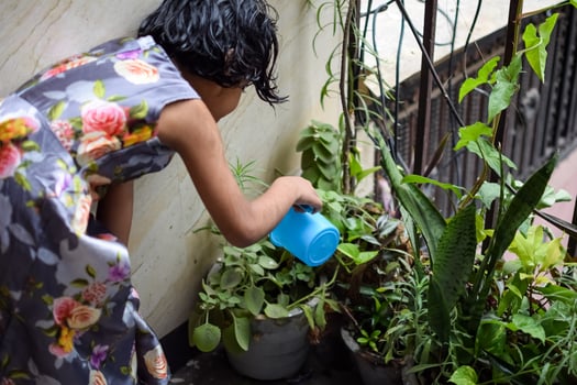 Cute 5 year old Asian little girl is watering the plant in the pots located at house balcony, Love of sweet little girl for the mother nature during watering into plants, Kid Planting photo
