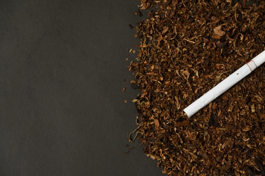 fine tobacco with a cigarette on top photo