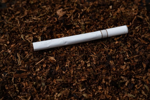 fine tobacco with a cigarette on top photo