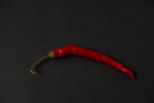 red chillies on the hand photo