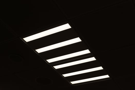A lamp for illuminating the interior of the room hangs on the ceiling. photo