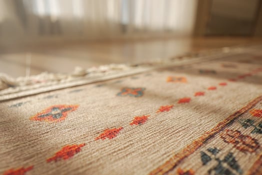 A patterned rug rests on the flooring beside a mirror photo