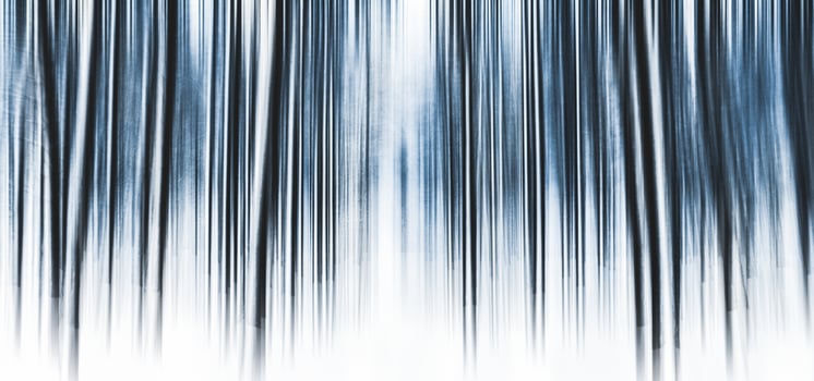 Winter season abstract nature art print and Christmas landscape holiday background, snowy magical forest as luxury brand postcard design backdrop photo