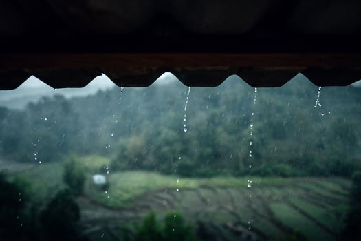 Rain falls, water flows down the roof of a house on a rainy day in the countryside. photo