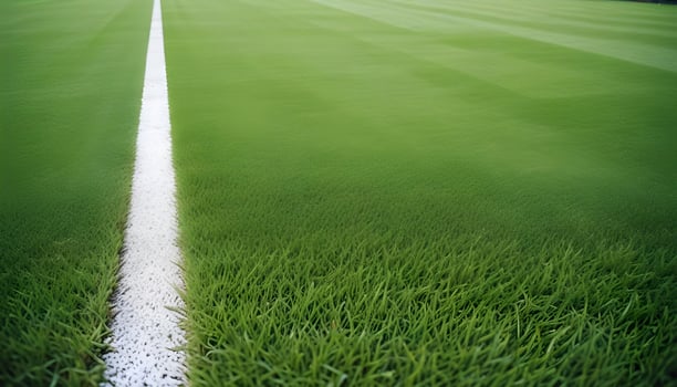 green grass background photo