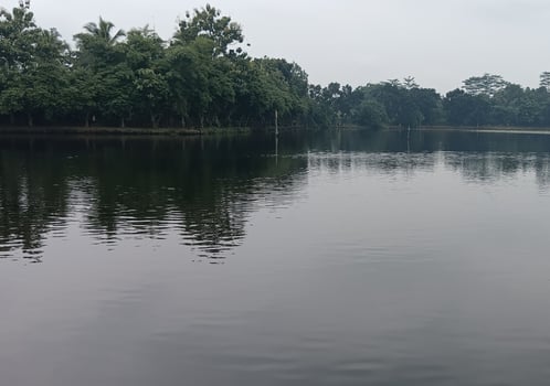 a morning nature landscape of the lake photo