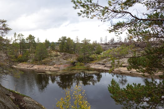 beautiful autumn landscape. lake view surrounded by forest photo