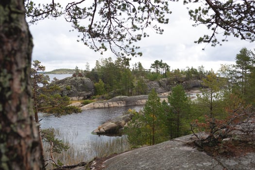 beautiful autumn landscape. lake view surrounded by forest photo