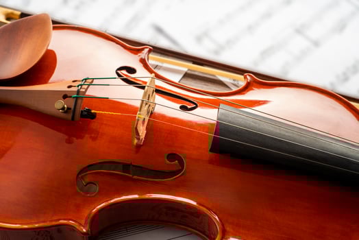 Violin body in the foreground photo