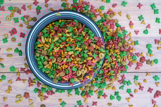 Cat food in bowl on wooden background photo