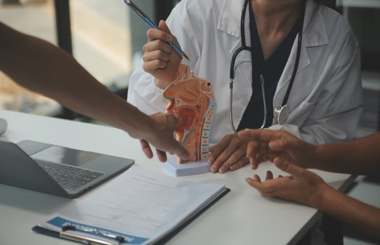 Female doctor explaining to patient results of model the process of patients. Diagnosis of diseases for Model Internal organ. photo