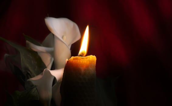 Burning wax candle in close up and white lily photo