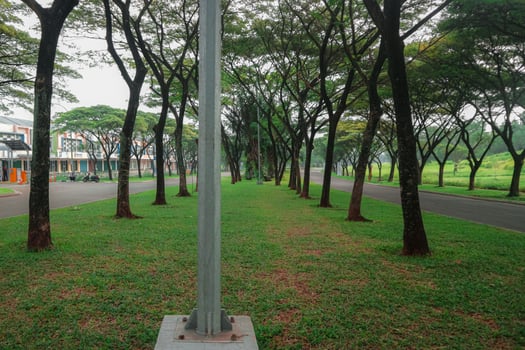 A quiet, tree-lined street in a residential area. The road is paved and flanked by lush lawns and towering trees. The sky is overcast, casting a soft, diffused light on the scene. photo