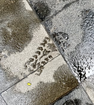 One single foot shoe print from wet rain water stains isolated on stone pedestrian side walk background. photo