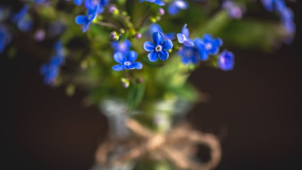 bouquet of blue forget-me-nots in a glass vase. congratulation, beautiful card for birthday, mother's day and wedding photo