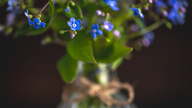 bouquet of blue forget-me-nots in a glass vase. congratulation, beautiful card for birthday, mother's day and wedding photo