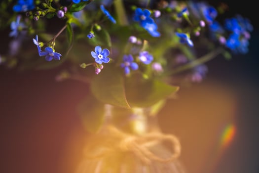bouquet of blue forget-me-nots in a glass vase. congratulation, beautiful card for birthday, mother's day and wedding photo