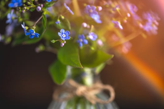 bouquet of blue forget-me-nots in a glass vase. congratulation, beautiful card for birthday, mother's day and wedding photo