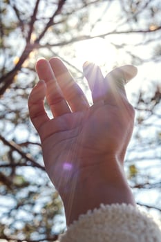 Hand letting the rays of sun pass through her fingers. photo