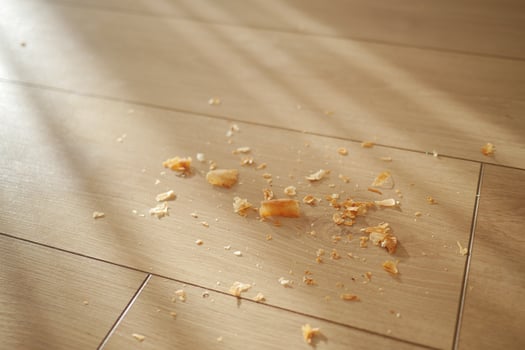 Dirt and dust on wooden floor photo