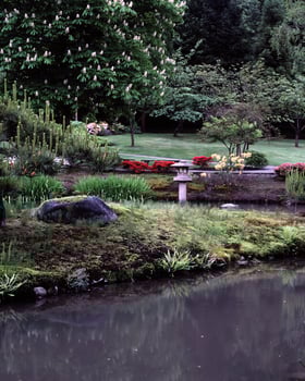 Garden background. Spring or summer gardening with plants and flowers photo