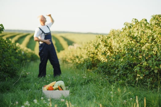 Man with wooden box of vegetables in field. Farming photo