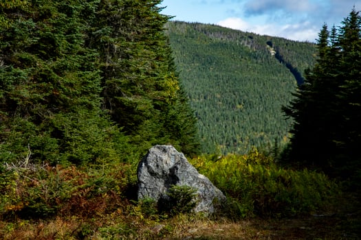 Large Boulder in Front of a Green Forested Mountain on a Sunny Day, Mount Gosford, Quebec, Canada photo