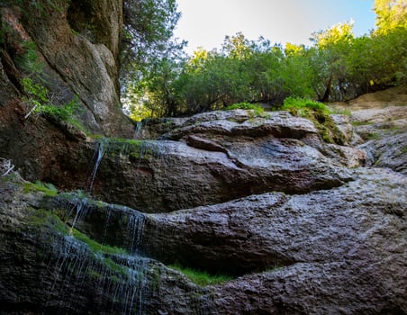 A Waterfall Trickling Down Mossy Rocks in Gaspesia, Quebec, Canada photo