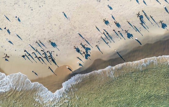 Aerial View Of Seagulls On A Sandy Beach With Crystal Clear Water, on the Magdalen Islands, Quebec, Canada photo