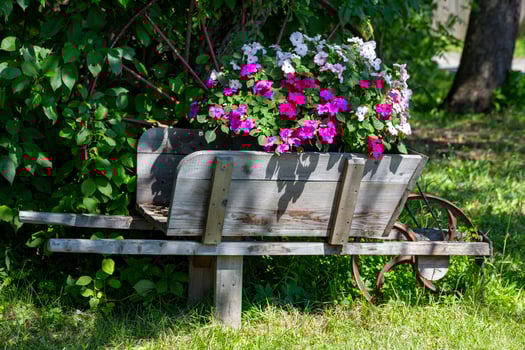 A Rustic Wooden Wheelbarrow Planted With Pink and White Flowers in a Summer Garden photo
