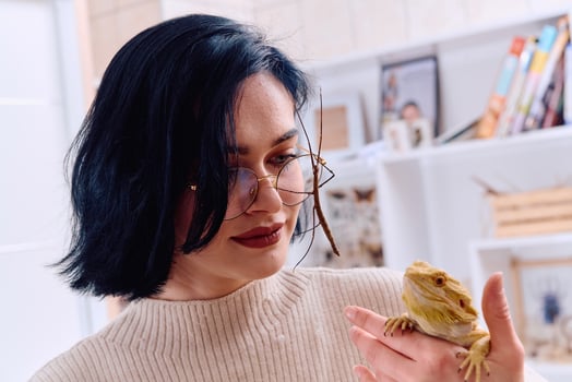 Woamn and Her Pets. A Bearded Dragon and a Stick Insect photo