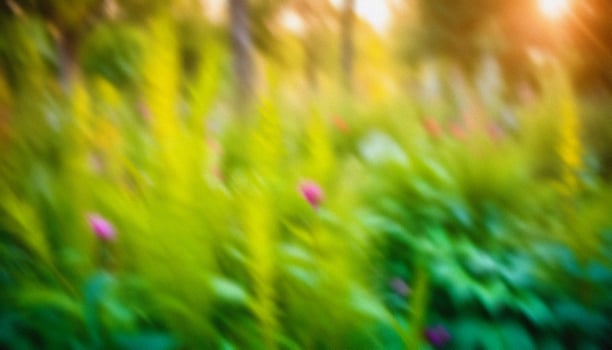 abstract blurred green grass field with wild flowers. soft elegant Nature background with delicate grane and soft lighting. for design, wallpaper, branding, presentations, promotional materials. High quality photo. photo
