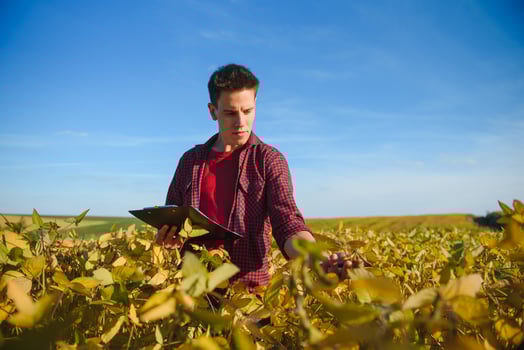 Farmer in soybean field plantation photo