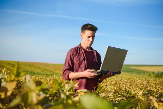 Agronomist inspecting soya bean crops growing in the farm field. Agriculture production concept. young agronomist examines soybean crop on field in summer. Farmer on soybean field photo