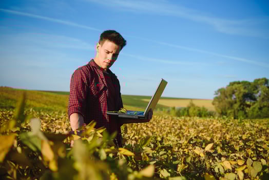 Farmer in soybean field plantation photo