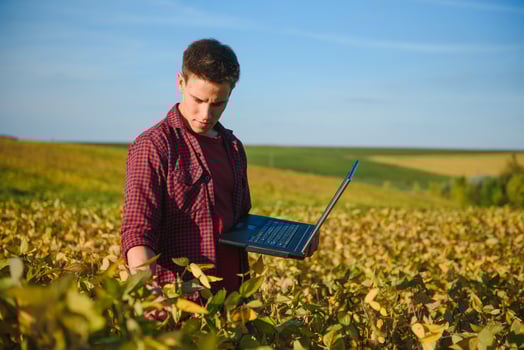 Agronomist inspecting soya bean crops growing in the farm field. Agriculture production concept. young agronomist examines soybean crop on field in summer. Farmer on soybean field photo